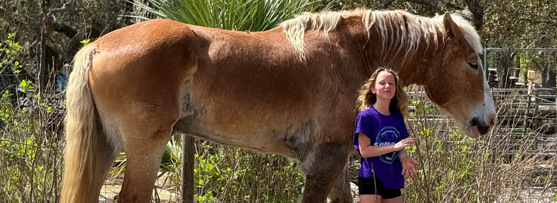 Paradise Pastures sanctuary grounds